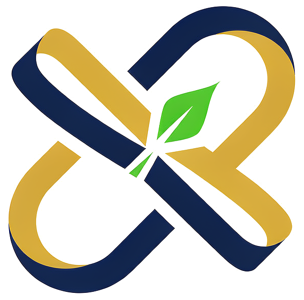 方案B 共赢 概念图